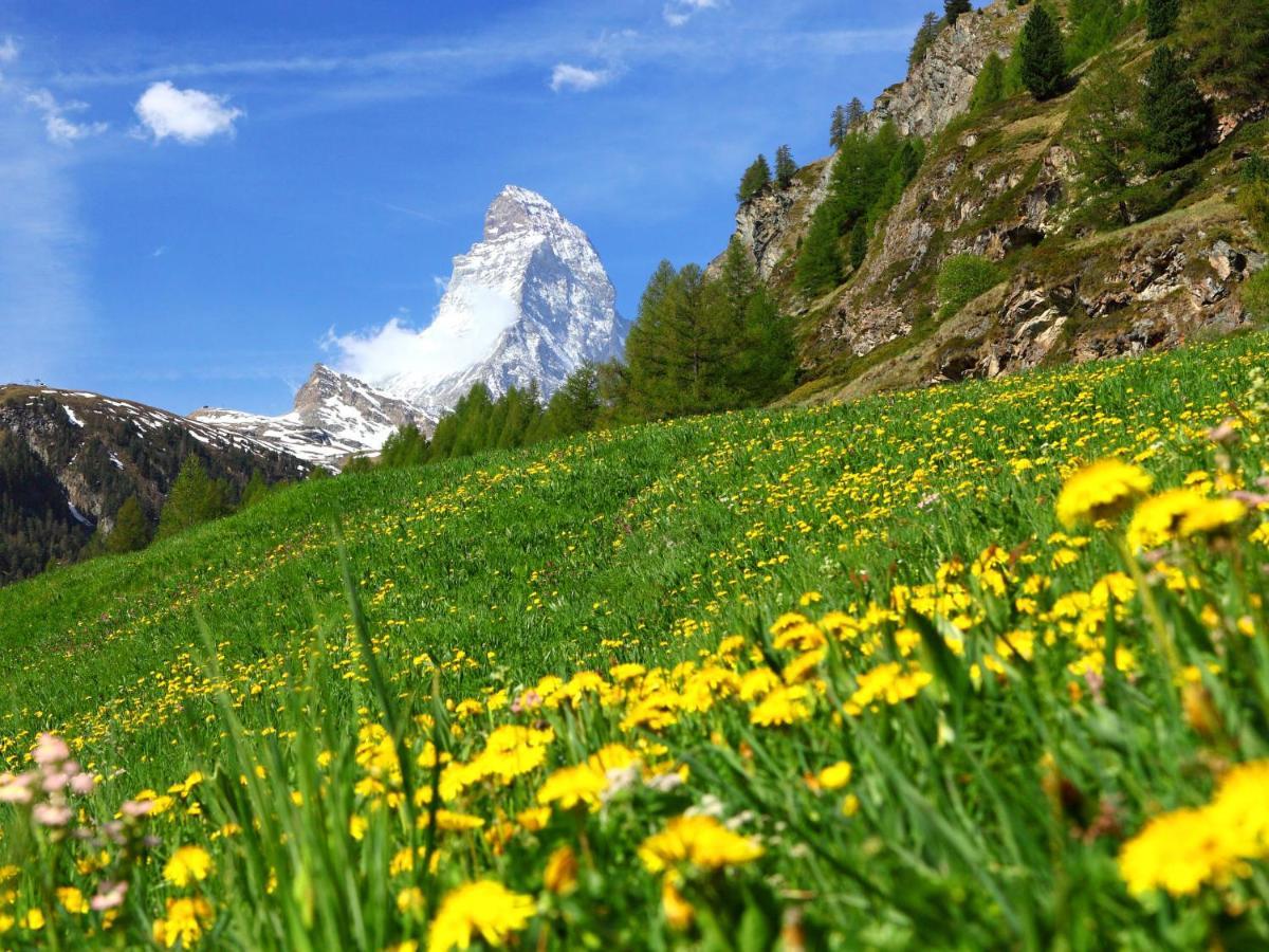 Apartment Alba By Interhome Zermatt Exterior photo